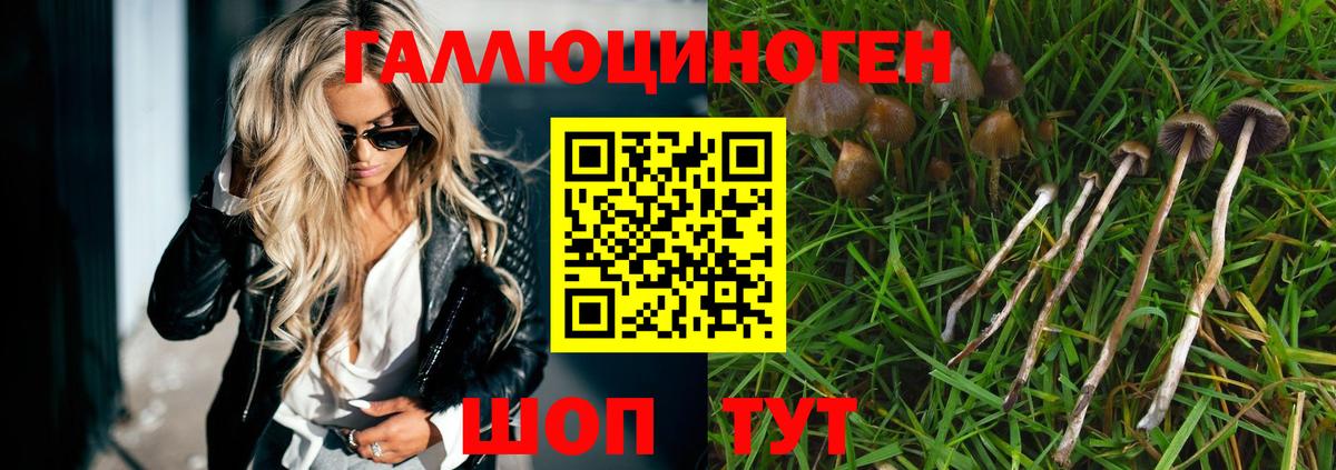 Галлюциногенные грибы мухоморы Светлоград